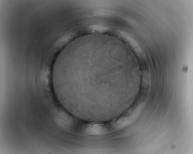 X0000103960451200809191515