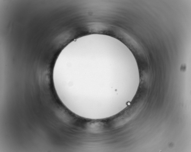 X0000103960452200809191515