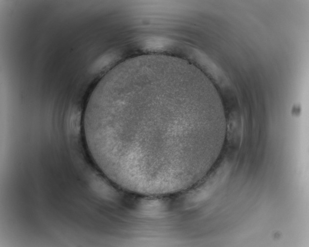 X0000103960454200809191515