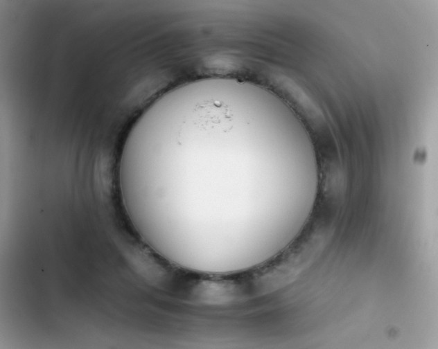 X0000103960455200809191515
