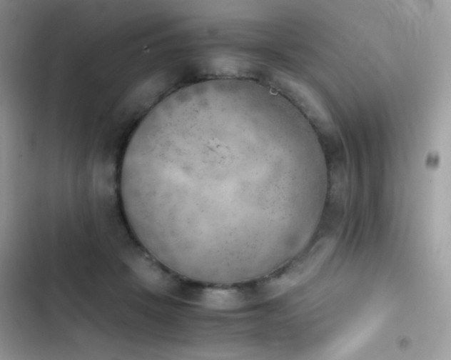 X0000103960457200809191515