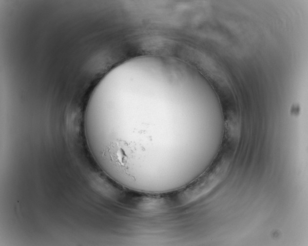 X0000103960458200809191515