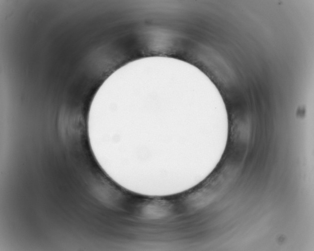 X0000103960459200809191515