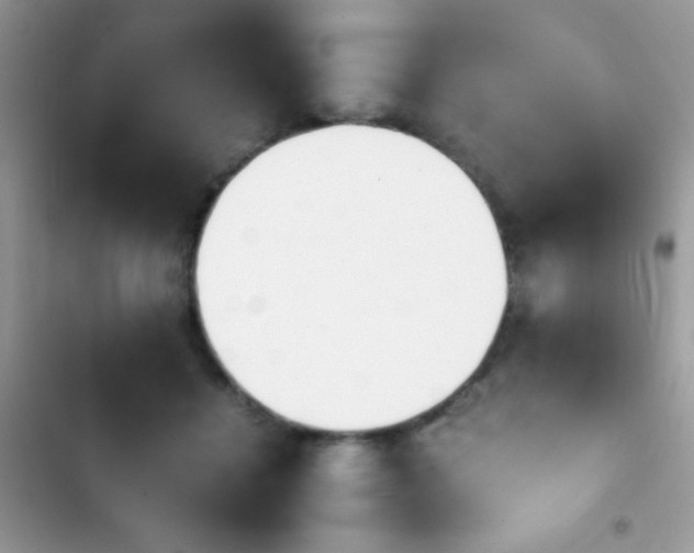 X0000103960460200809191515