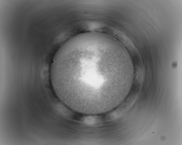 X0000103960461200809191515