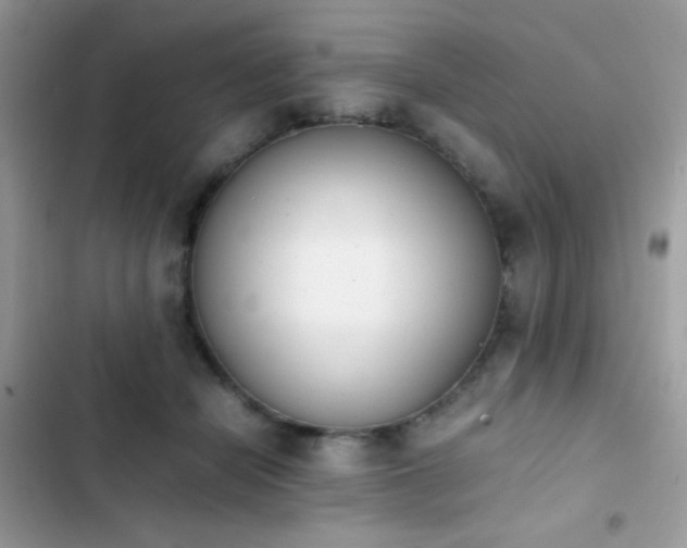 X0000103960462200809191515