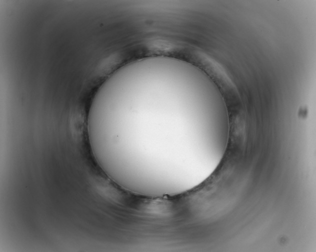 X0000103960463200809191515