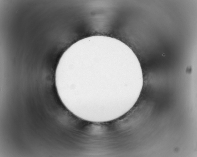 X0000103960464200809191515