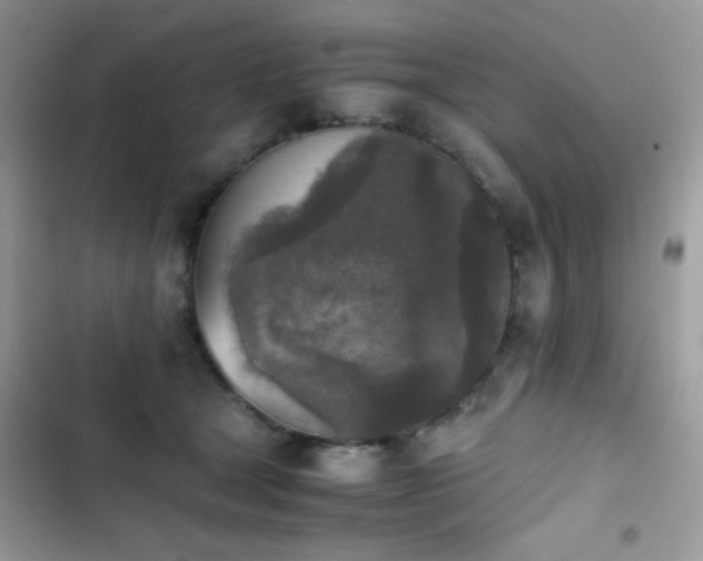 X0000103960465200809191515