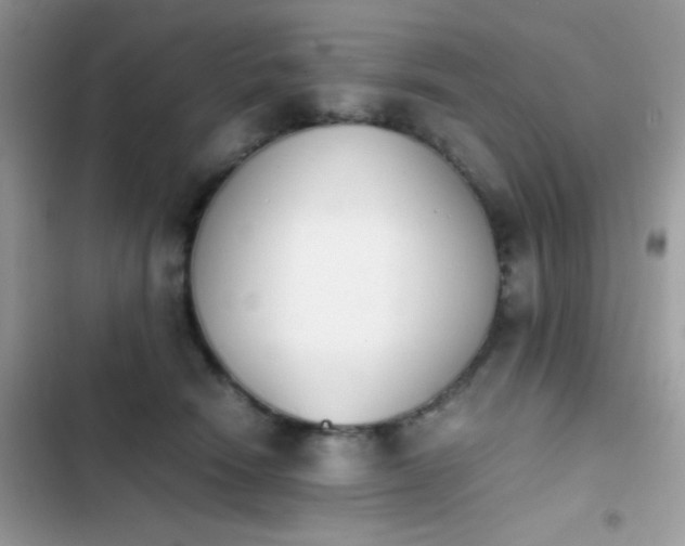 X0000103960466200809191515