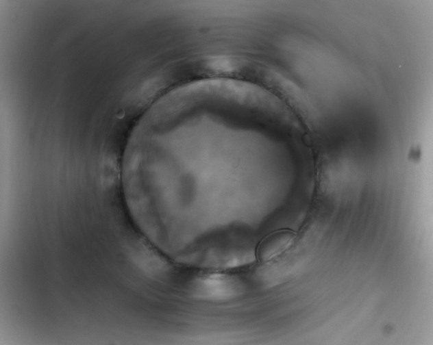 X0000103960467200809191515