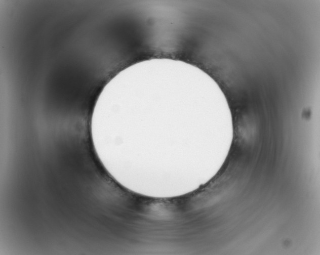 X0000103960468200809191515