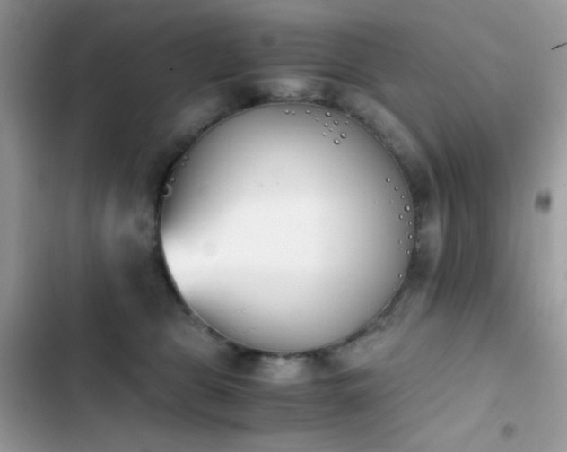 X0000103960469200809191515