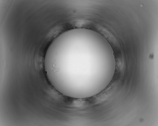 X0000103960470200809191515