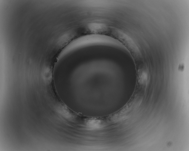 X0000103960471200809191515