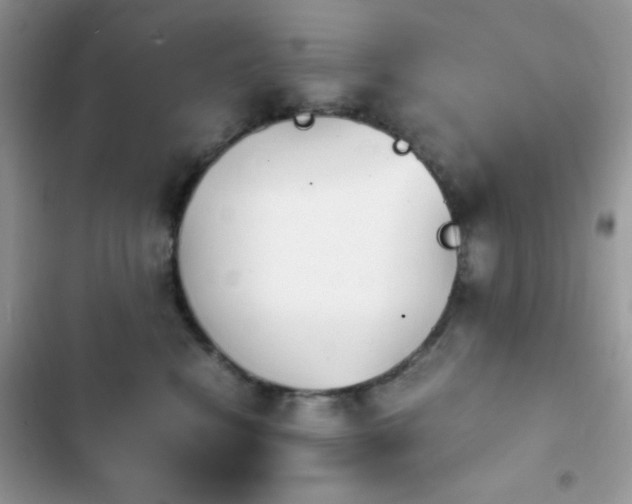 X0000103960472200809191515