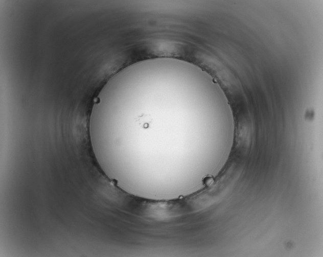 X0000103960473200809191515