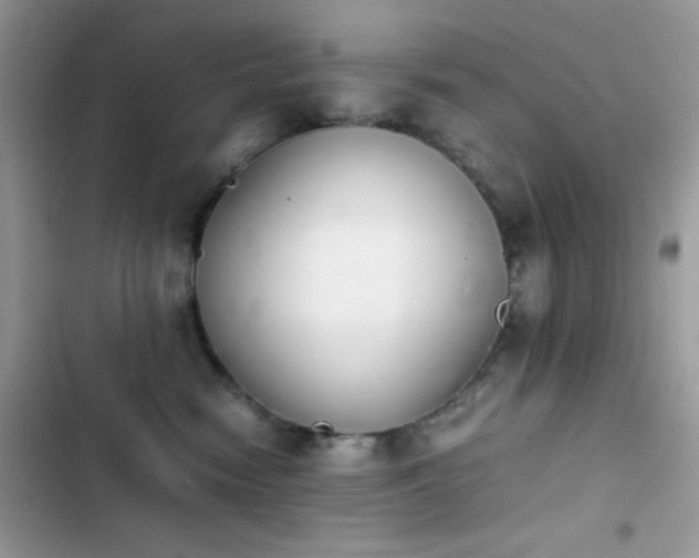 X0000103960474200809191515