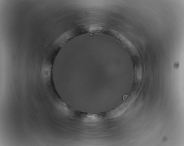 X0000103960475200809191515