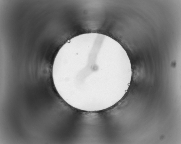 X0000103960476200809191515