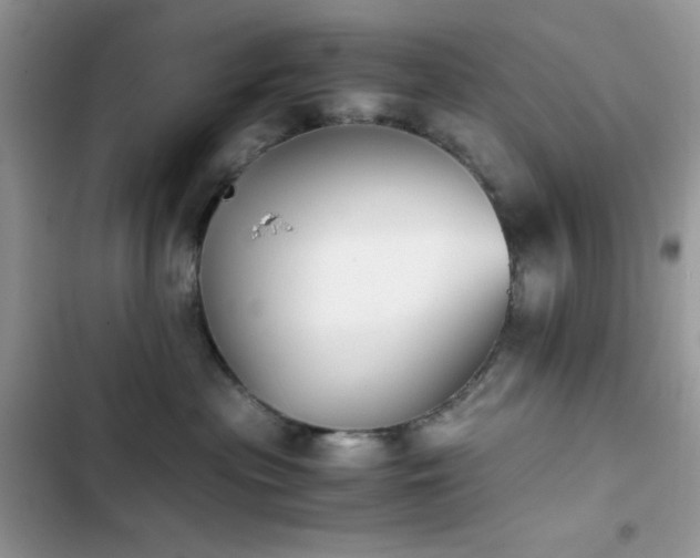 X0000103960477200809191515
