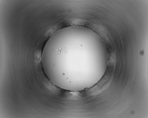 X0000103960478200809191515