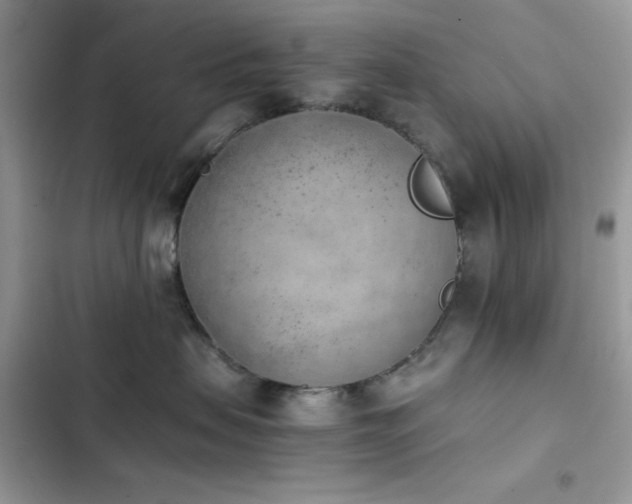 X0000103960479200809191515