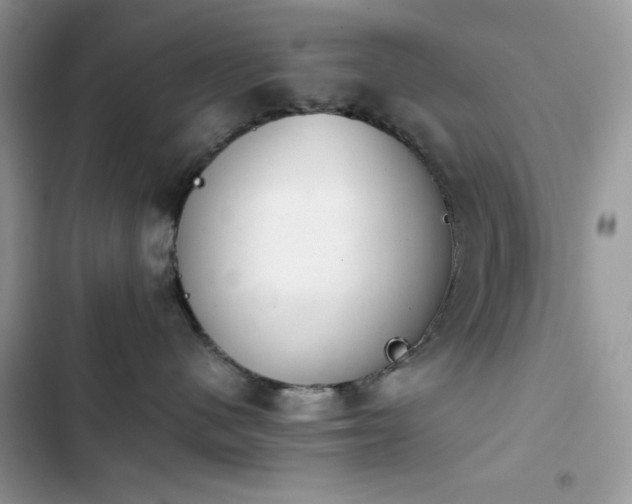 X0000103960480200809191515