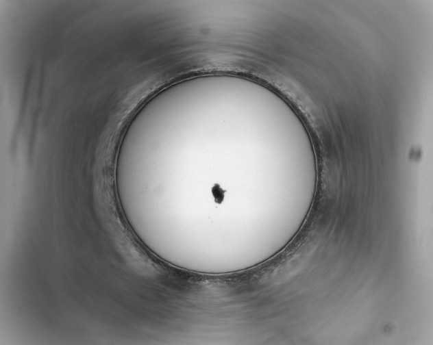 X0000103960481200809191515
