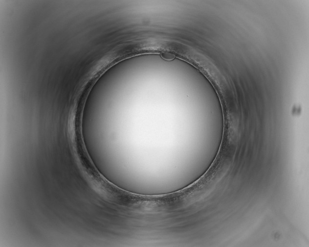 X0000103960482200809191515
