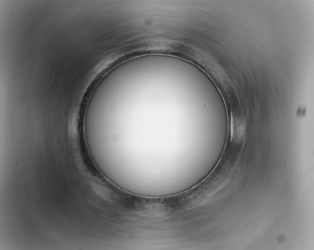 X0000103960483200809191515