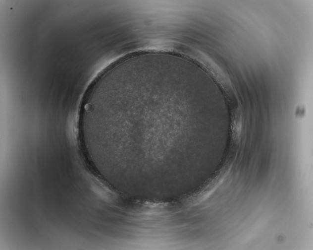 X0000103960484200809191515