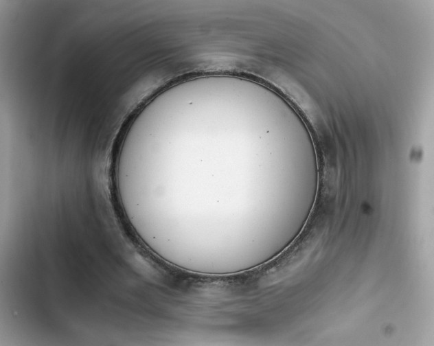X0000103960485200809191515