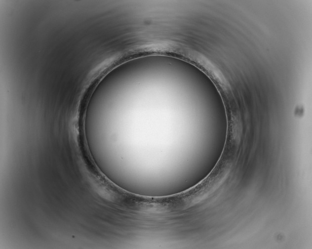 X0000103960486200809191515