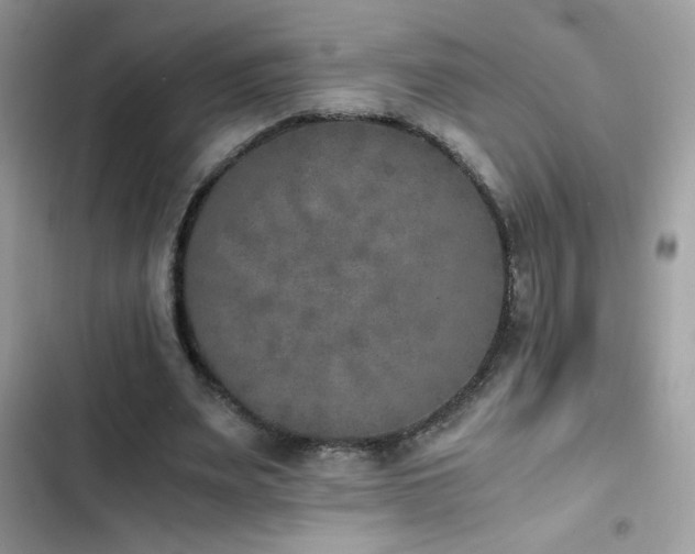 X0000103960487200809191515