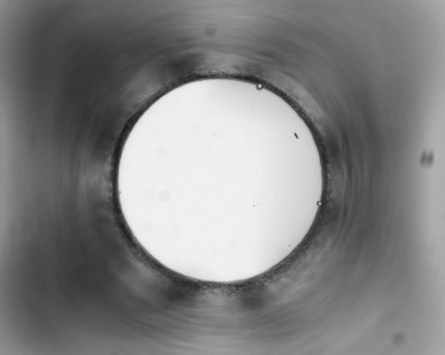 X0000103960489200809191515