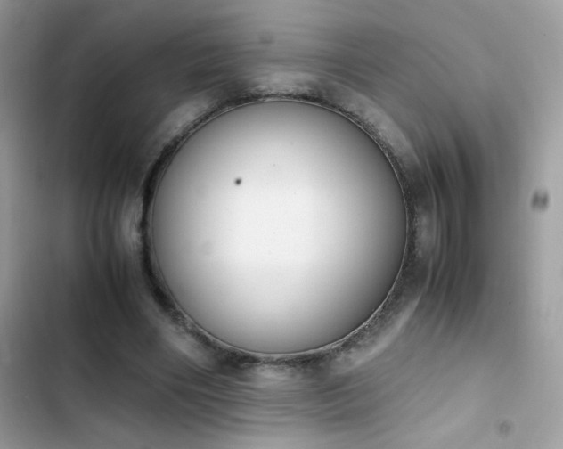 X0000103960490200809191515