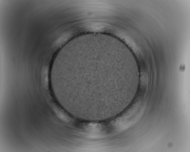 X0000103960493200809191515