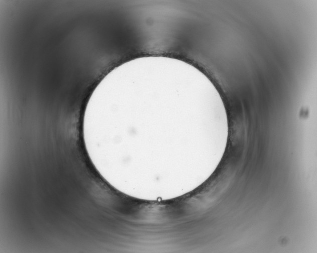 X0000103960497200809191515
