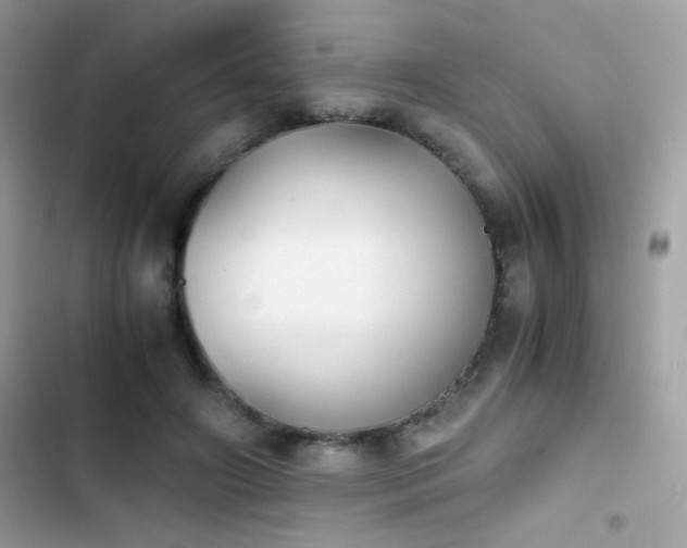 X0000103960498200809191515