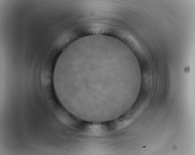 X0000103960499200809191515
