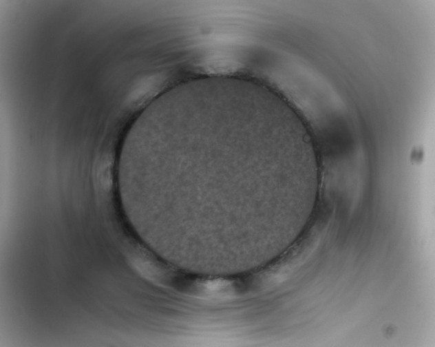 X0000103960501200809191514