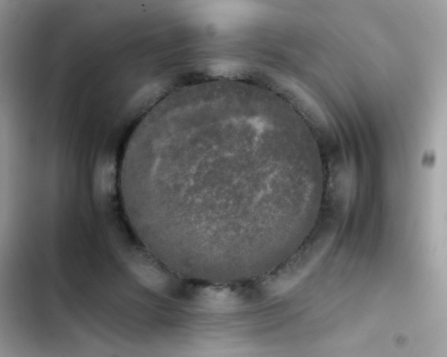 X0000103960502200809191514