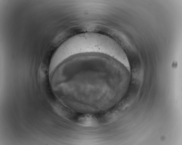 X0000103960503200809191514