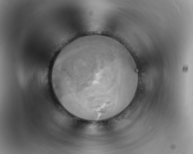 X0000103960504200809191514