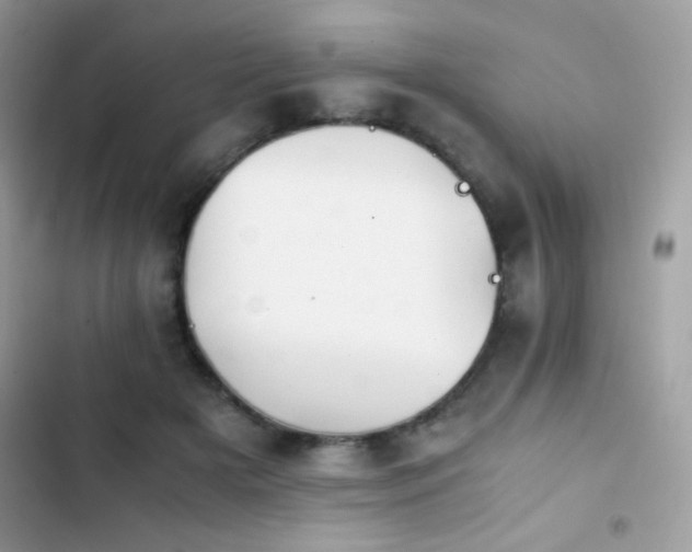 X0000103960505200809191514