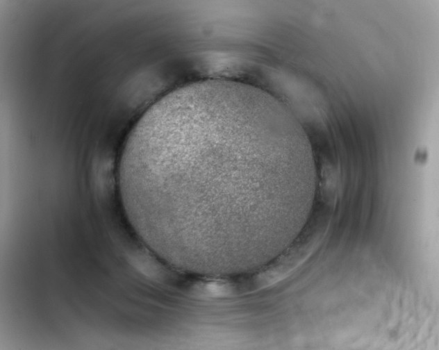 X0000103960506200809191514
