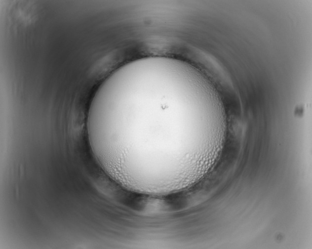 X0000103960507200809191514