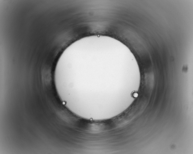X0000103960508200809191514