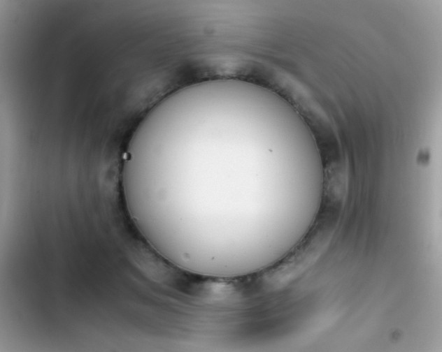 X0000103960509200809191514